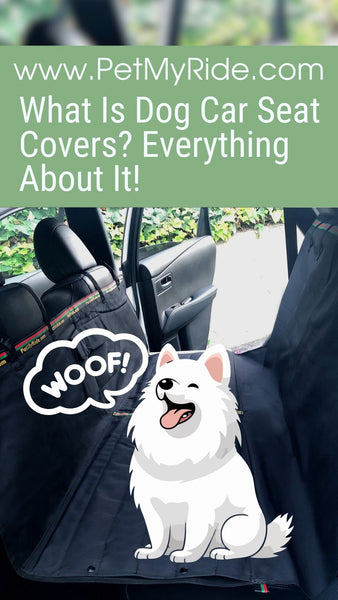 What Is Dog Car Seat Covers? Everything About It!