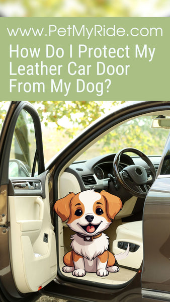 How Do I Protect My Leather Car Door From My Dog?