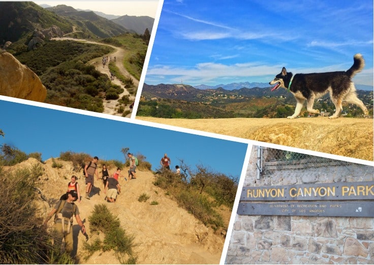 Dog Friendly Hikes in Los Angeles by Viktoria Kanevsky