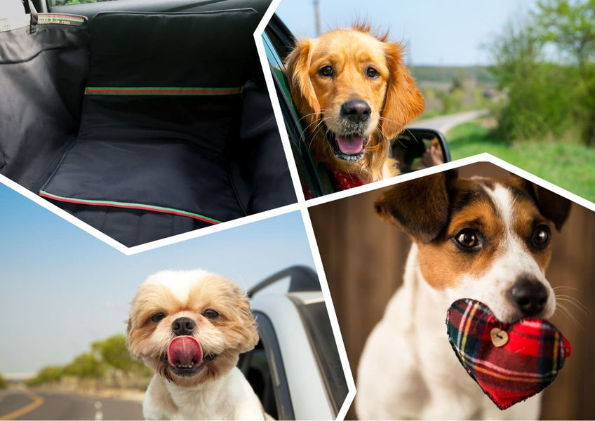 Dogs in Truck: Tips on How to Travel