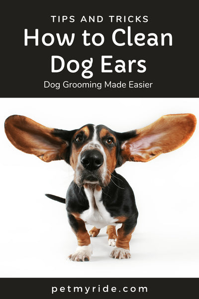 How to Clean Dog Ears - Grooming Made Easier