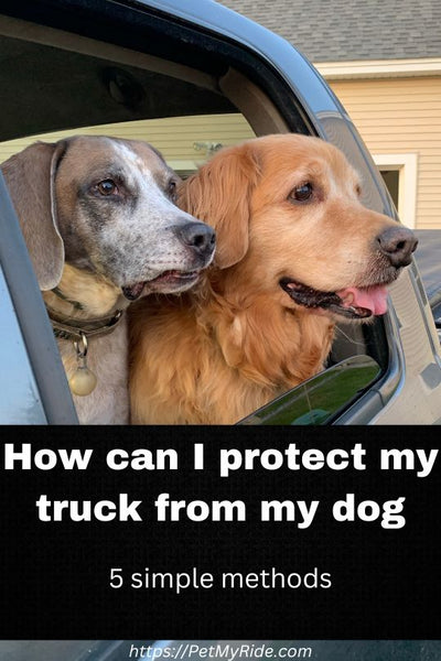 How can I protect my truck from my dog?