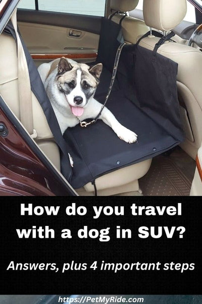 How do you travel with a dog in SUV?