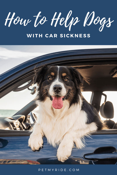 How to Help Dogs With Car Sickness Effectively