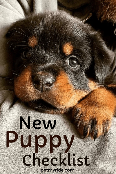 New Puppy Checklist: Ultimate Necessities for Your Baby Dog