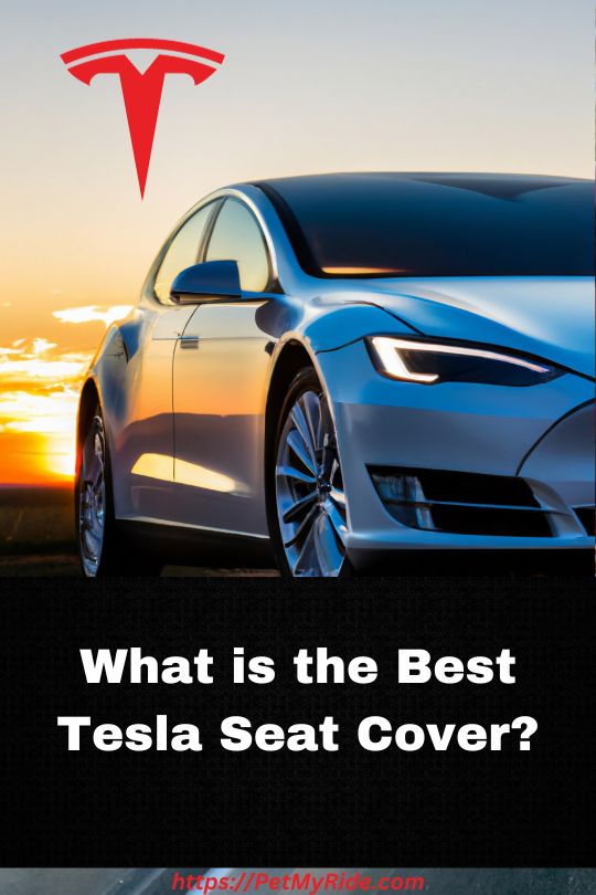 https://petmyride.com/cdn/shop/articles/what_is_the_best_Tesla_seat_cover_540x.jpg?v=1696981823