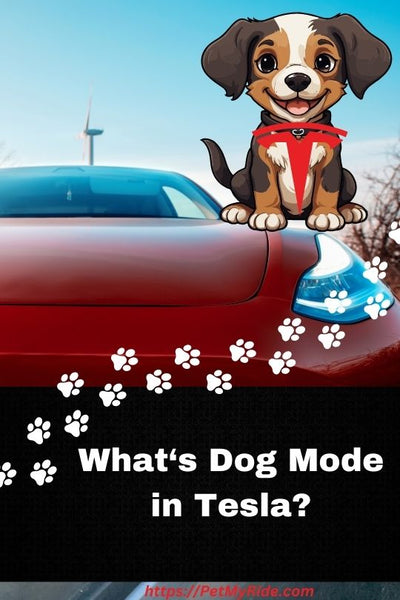What’s dog mode in Tesla?
