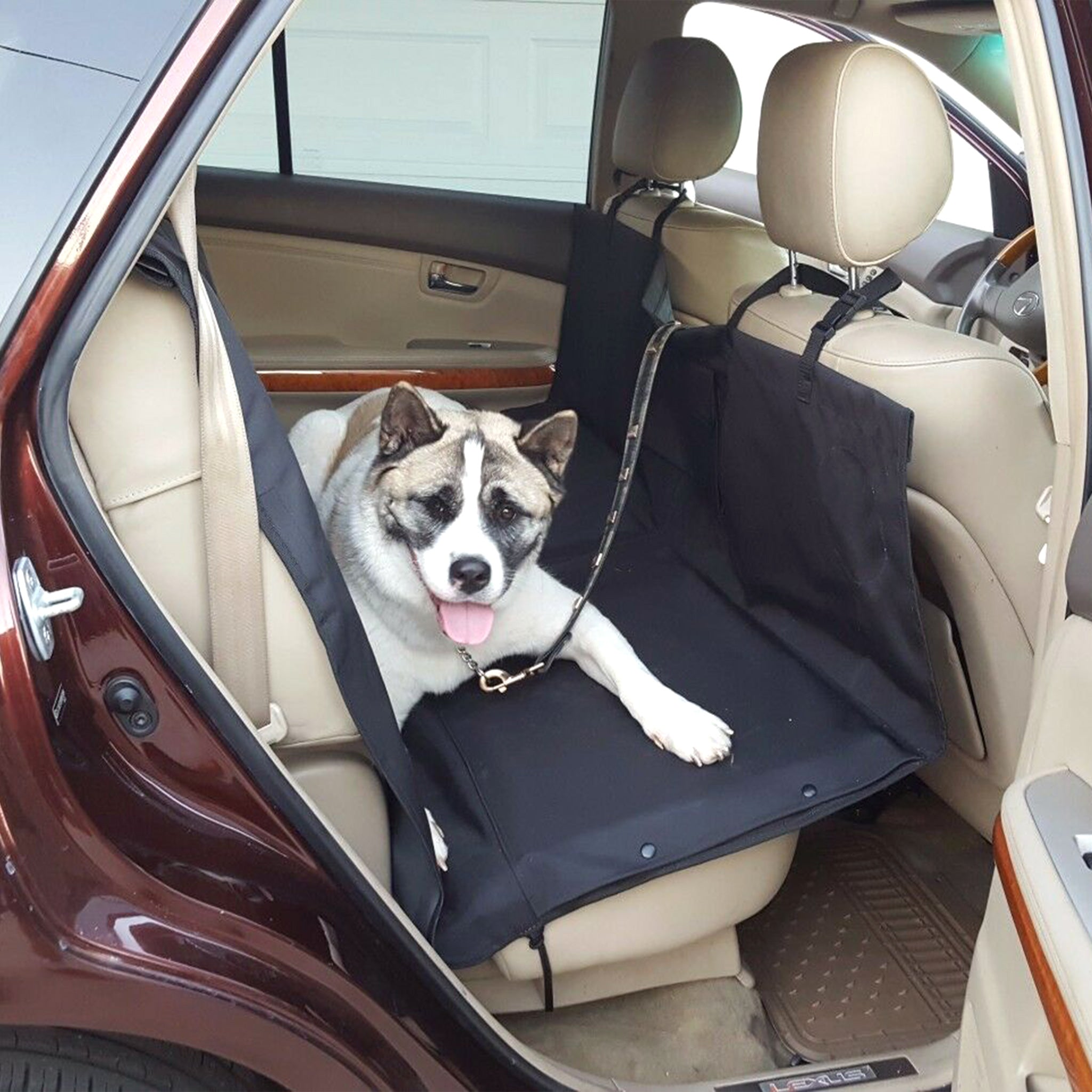 Dog seat belt clearance for back of suv