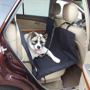 the dog is sitting on black car seat cover for sedan